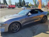 Used 2021 Ford Mustang Premium image 2