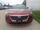 Used 2019 Cadillac CT6 Premium Luxury image 2