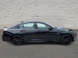 New 2026 Cadillac CT5 Sport image 4