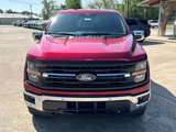 New 2025 Ford F150 XLT image 2