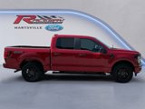 New 2025 Ford F150 STX w/ STX Black Appearance Package image 5