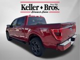 Used 2022 Ford F150 XLT w/ Equipment Group 302A High image 5