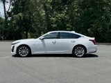 Used 2024 Cadillac CT5 Premium Luxury w/ Technology Package image 6