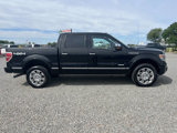 Used 2014 Ford F150 Platinum image 5