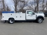 New 2025 Ford F550 4x4 Regular Cab Super Duty image 6