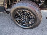 New 2025 Ford F150 Platinum w/ Equipment Group 702A High image 4
