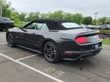 Used 2023 Ford Mustang Premium image 4