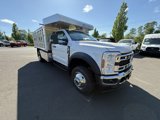 New 2025 Ford F550 4x4 Regular Cab Super Duty image 3