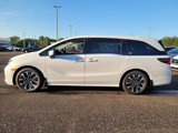 New 2026 Honda Odyssey Elite image 4
