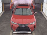 Used 2025 Lexus UX 300h FWD w/ Cold Area Package image 2