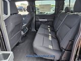New 2025 Ford F150 XLT image 6