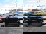 New 2024 Ford F150 Raptor image 5