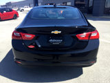 Used 2023 Chevrolet Malibu LT image 5