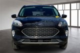 Used 2021 Ford Escape SEL image 4