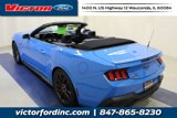 Used 2024 Ford Mustang GT Premium image 6