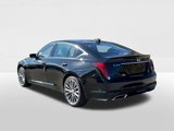 New 2025 Cadillac CT5 Premium Luxury w/ Sun And Sound Package image 2