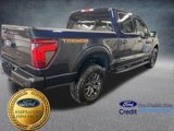 New 2025 Ford F150 Tremor image 5