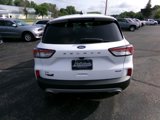 Used 2022 Ford Escape SE image 5