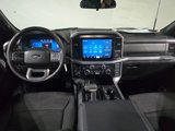 New 2025 Ford F150 XLT w/ Equipment Group 301A Standard image 5
