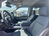 New 2025 Ford F150 XLT image 4