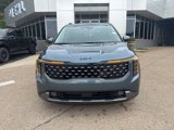 New 2026 Kia Carnival SX Prestige image 2