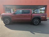New 2025 Nissan Frontier PRO-4X image 2