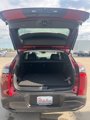 New 2025 Nissan Murano SL w/ Cargo Package image 6