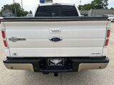 Used 2014 Ford F150 King Ranch w/ King Ranch Luxury Package image 6