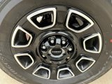New 2025 Ford F250 Platinum image 5