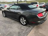 Used 2019 Ford Mustang Convertible image 6