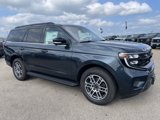 New 2025 Ford Expedition Active image 2