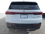 New 2026 Buick Enclave Sport Touring image 5