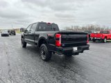 New 2025 Ford F250 Platinum image 2