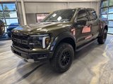 Used 2024 Ford F150 Raptor image 4