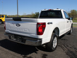 Certified 2024 Ford F150 XL w/ Equipment Group 103A High image 6