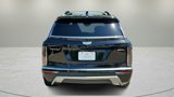 New 2026 Cadillac Vistiq Luxury image 4