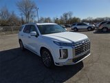 New 2025 Hyundai Palisade Calligraphy image 4