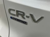 New 2025 Honda CR-V Sport-L image 5