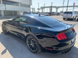 Used 2022 Ford Mustang GT Premium w/ GT Performance Package image 5