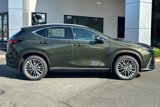 New 2026 Lexus NX 350 AWD w/ Luxury Package image 3