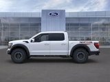 New 2025 Ford F150 Raptor image 3