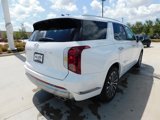 New 2025 Hyundai Palisade Calligraphy image 5