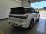 New 2025 INFINITI QX80 Sensory image 5