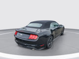Certified 2023 Ford Mustang Premium image 4