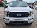 Used 2022 Ford F150 XLT w/ Equipment Group 301A Mid image 5