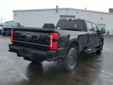 New 2025 Ford F350 XLT w/ Black Appearance Package image 5
