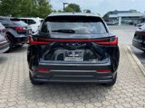 Certified 2024 Lexus NX 350 AWD w/ Premium Package image 5