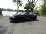 Used 2023 Ford Mustang GT image 2