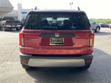 New 2026 Honda Passport RTL image 4
