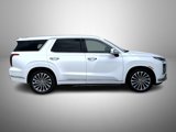 New 2025 Hyundai Palisade Calligraphy image 4
